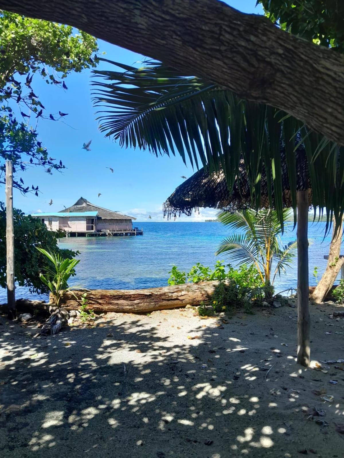 Imagination Island Eco Resort Gizo 外观 照片